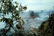 Bara Api di Tungku Sebabkan 3 Rumah di Sumedang Ludes Terbakar