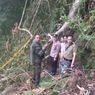Tertimpa Pohon Saat Berburu, 4 Warga Garut Tewas di Tengah Hutan Lindung