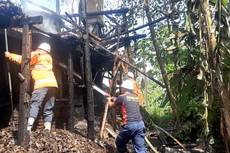 Berawal Bakar Sampah, Pabrik Penyulingan Daun Cengkeh di Lumajang Dilalap Api 
