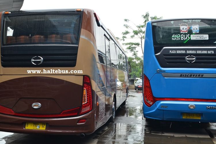 Perbedaan unit bus PPD yang digunakan untuk bus kota (kanan, biru) dan pariwisata (kiri, cokelat).