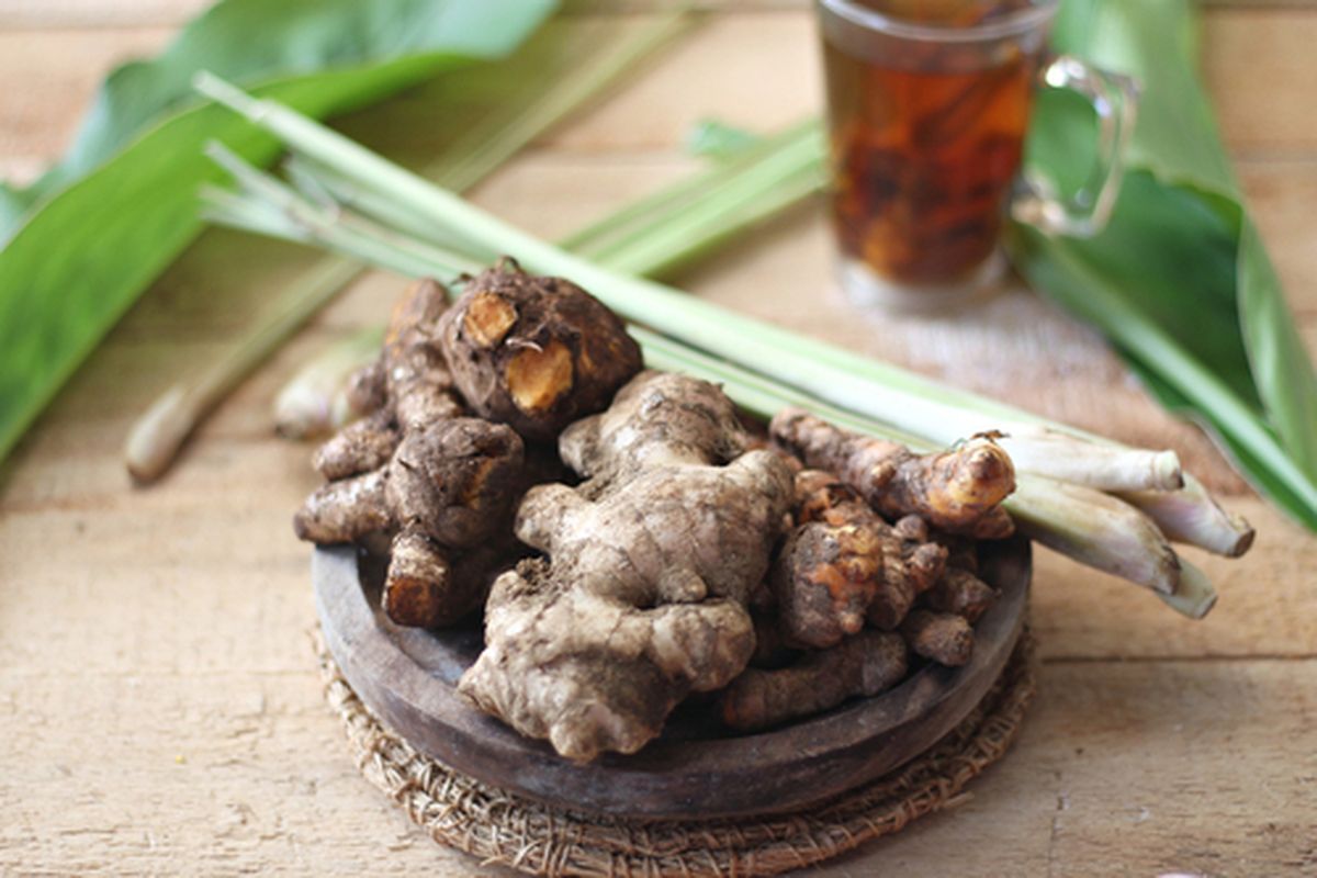 Ilustrasi empon-empon