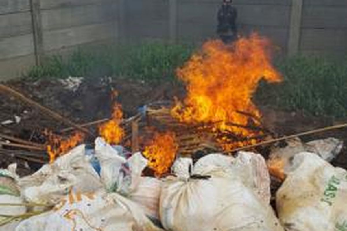 Sebanyak 591,57 kilogram ayam tiren dimusnahkan jajaran Sudin Kelautan, Pertanian dan Ketahanan Pangan (KPKP) Jakarta Timur dan Polsek Cakung, Jumat (18/12).