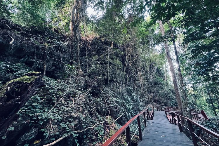 Jalan setapak menuju Danau Kakaban