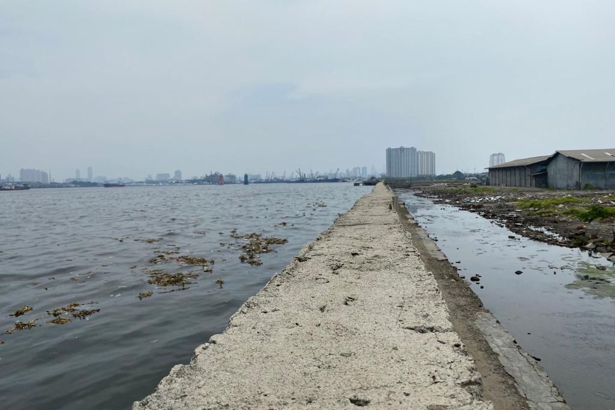Tanggul Muara Baru, Penjaringan, Jakarta Utara berfungsi untuk menahan air laut agar tak tumpah ke daratan. Tanggul beton inilah yang menjadi pembatas antara wilayah lautan dengan permukiman warga di pesisir utara Jakarta. 