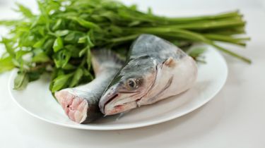 Ikan Patin Suka Hancur Saat Dimasak? Coba 4 Langkah Mudah Ini