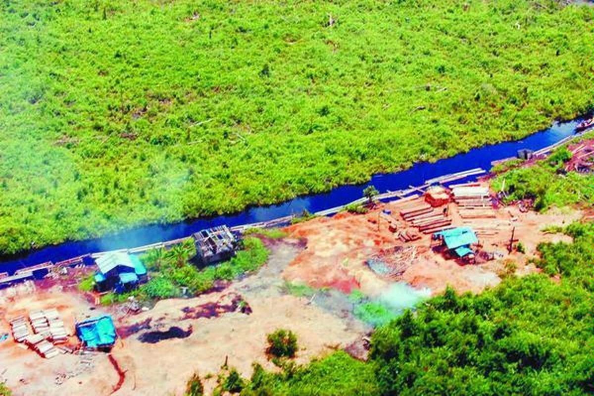 Pembalakan liar di hutan Riau masih berlangsung. Puluhan sawmill atau penggergajian kayu beroperasi di sebuah hutan konservasi di dekat Suaka Margasatwa Giam Siak Kecil. Kondisi hutan di dekat beroperasinya sawmill terlihat bolong-bolong. Di jalur hutan terdapat rel-rel kayu untuk mendorong gelondongan kayu menuju sawmill.  