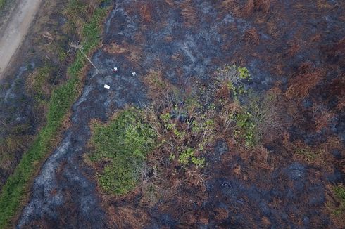 Ditolak Pemprov Riau, Bantuan dari DKI untuk Padamkan Karhutla Dialihkan ke Kalteng