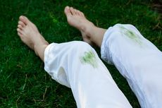 Cara Membersihkan Noda Rumput pada Pakaian dan Karpet