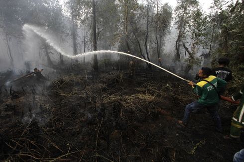 Bisa Edukasi Masyarakat Tak Bakar Lahan Gambut, BRG Dinilai Tetap Dibutuhkan 