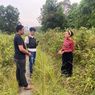 Ingin Punya Motor, Pemuda di Pesawaran Begal Pacar Sendiri