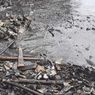 Pantai di Pesisir Bandar Lampung Berwarna Hitam Diduga Tercemar Limbah, Ikan dan Penyu Ditemukan Mati
