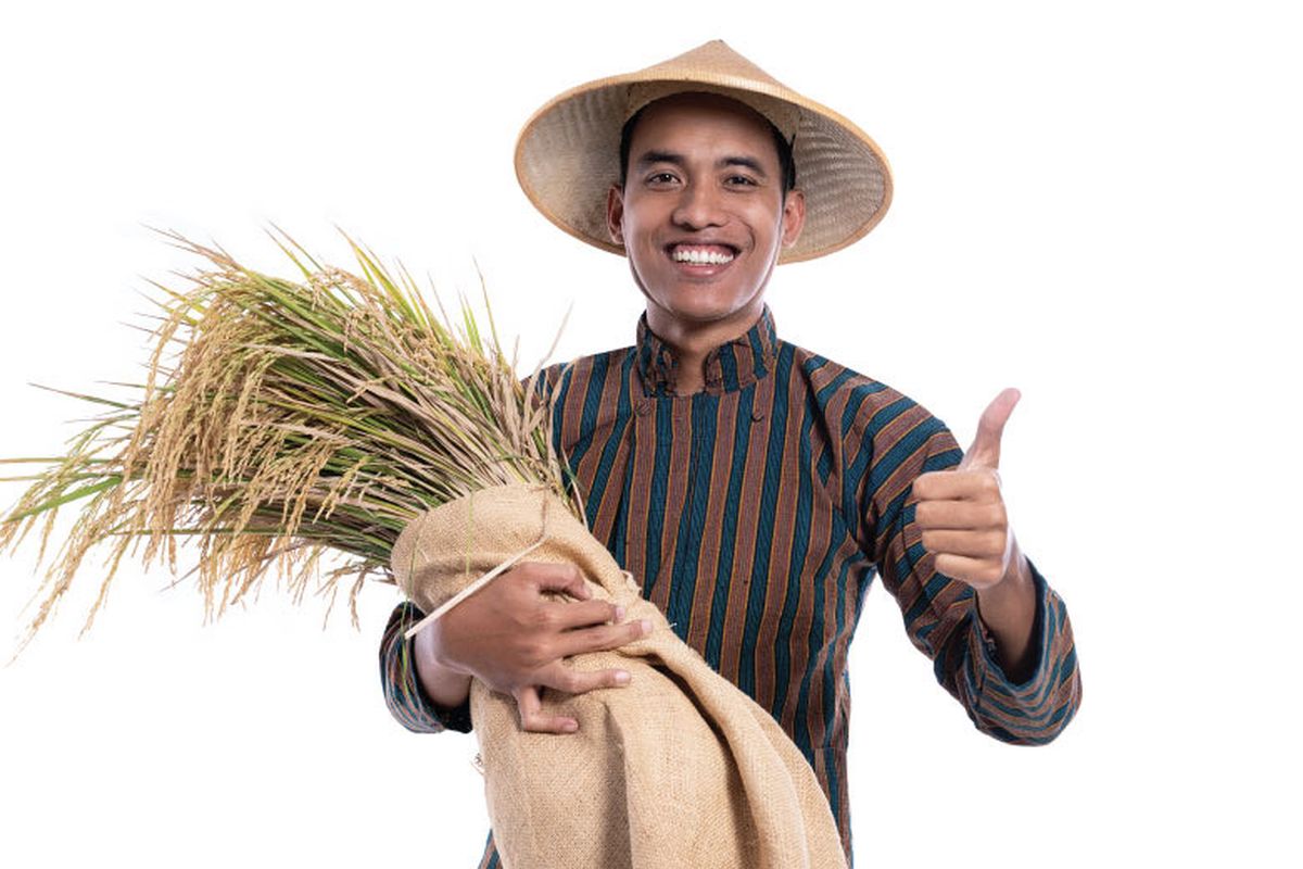 Petani bekerja di sawah.