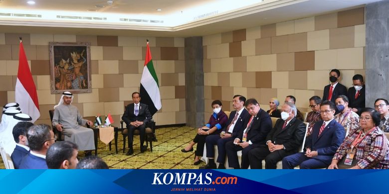 Jokowi Bertemu Presiden MBZ dan Pebisnis UEA