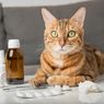 Stop Memberikan Aspirin untuk Kucing, Ini Bahayanya
