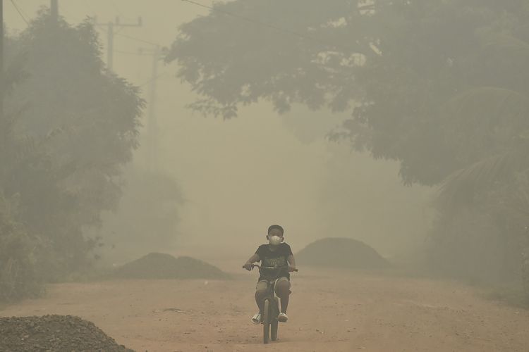 6 Provinsi dengan Kasus ISPA Tertinggi di Tengah Karhutla, Ini Sebaran Wilayah dan Gejalanya