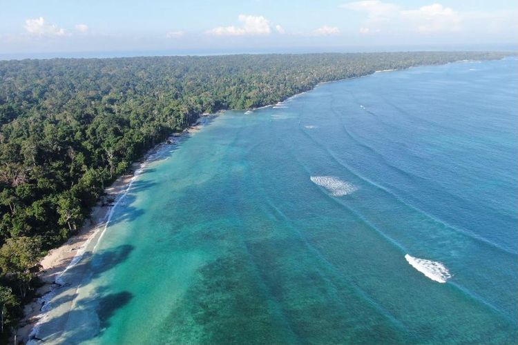 Kejuaraan selancar air dunia, World Surfing League, resmi digelar di Pantai Plengkung Banyuwangi, Jawa Timur pada 28 Mei - 6 Juni 2022. 