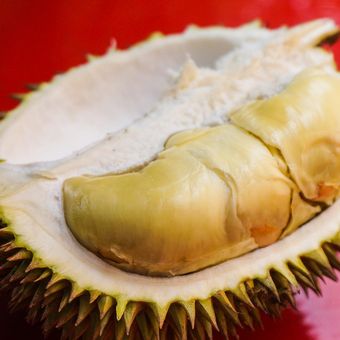 Ilustrasi Durian, buah Durian. 
