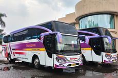 Bus Baru PO Ramayana, Pakai Produk Baru Morodadi Prima