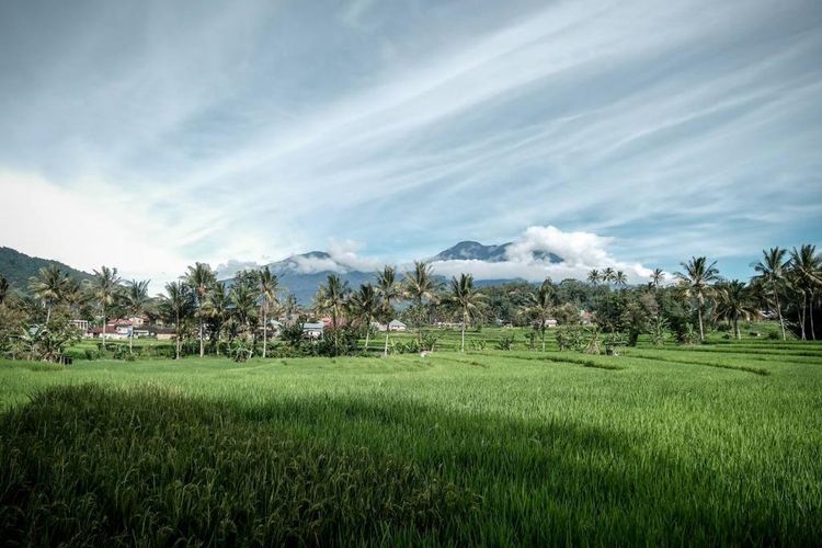 Ilustrasi pemandangan di Desa Wisata Kubu Gadang di Sumatera Barat yang masuk babak 75 besar Anugerah Desa Wisata Indonesia (ADWI) 2023.