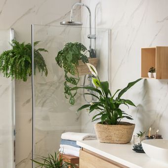 Ilustrasi tanaman hias di kamar mandi. 