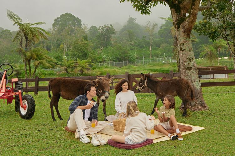 Ilustrasi suasana di tengah taman di Bali Farm House.