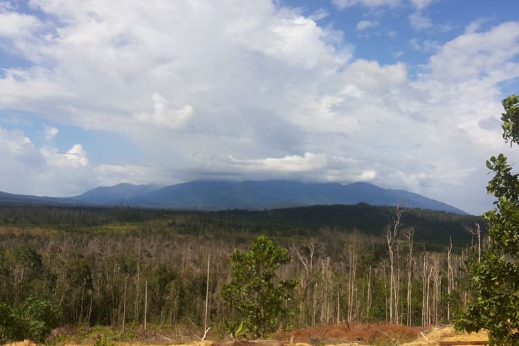 Pemandangan alam yang bisa dijumpai di sepanjang ruas jalan menuju perbatasan Indonesia-Malaysia di Aruk, Sajingan Besar, Kabupaten Sambas, Kalimantan Barat.