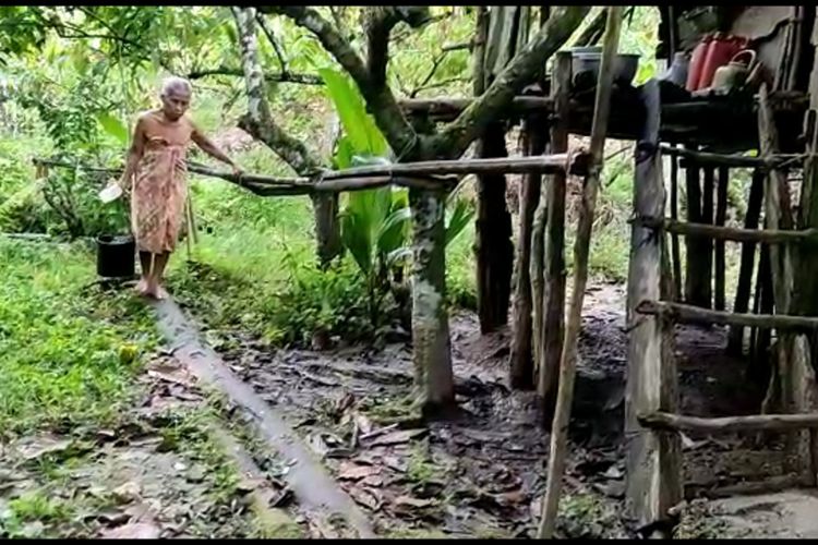 Pasangan Lansia Hidup Bahagia Puluhan Tahun Di Tengah Hutan