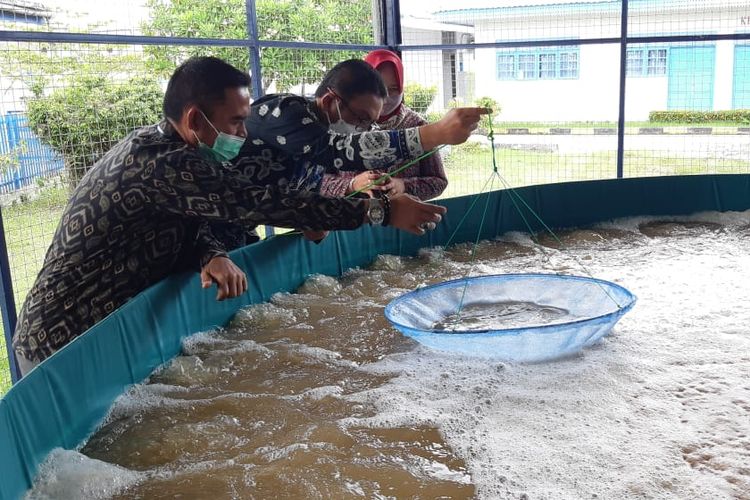 Jabu Dekke merupakan ruang display produk BPPP Medan dan wilayah kerja. Ruang ini sebagai motivator dalam mengenalkan dan mendongkrak sektor perekonomian melalui produk-produk perikanan.