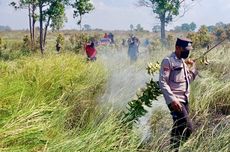 Hutan Ilalang Way Kambas Terbakar, Tim Gabungan 5 Jam Berjibaku Padamkan Api