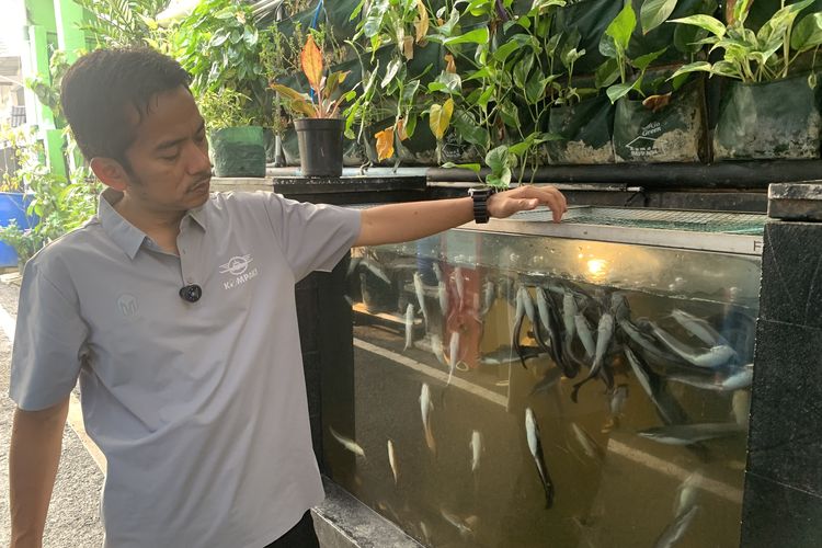 Kolam Lele di Selokan hingga Ayam Petelur Disulap Jadi Sumber Pangan Warga Duren Sawit