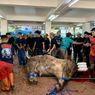 Masjid Istiqlal Bagikan 10.728 Bungkus Daging Kurban, Ada Sapi Presiden