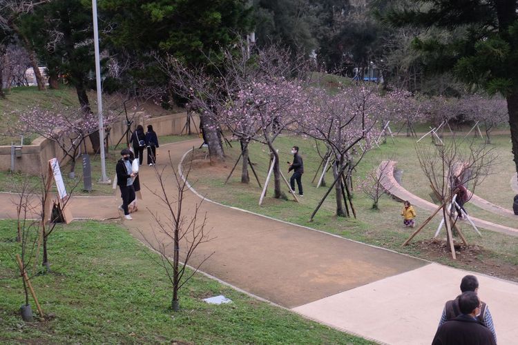 Taman di Kota Hsinchu, Taiwan.