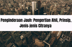 Penginderaan Jauh: Pengertian Ahli, Prinsip, Jenis-jenis Citranya 