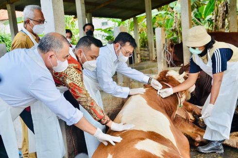 Mentan SYL Tinjau Posko dan Peternakan di Gresik, Pastikan Penanganan PMK Terkendali dan Optimal