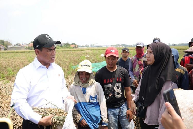 Produksi Benih Padi di Subang Capai 245.000 Ton Setahun, Amran Klaim Jadi yang Terbesar di Asia Tenggara
