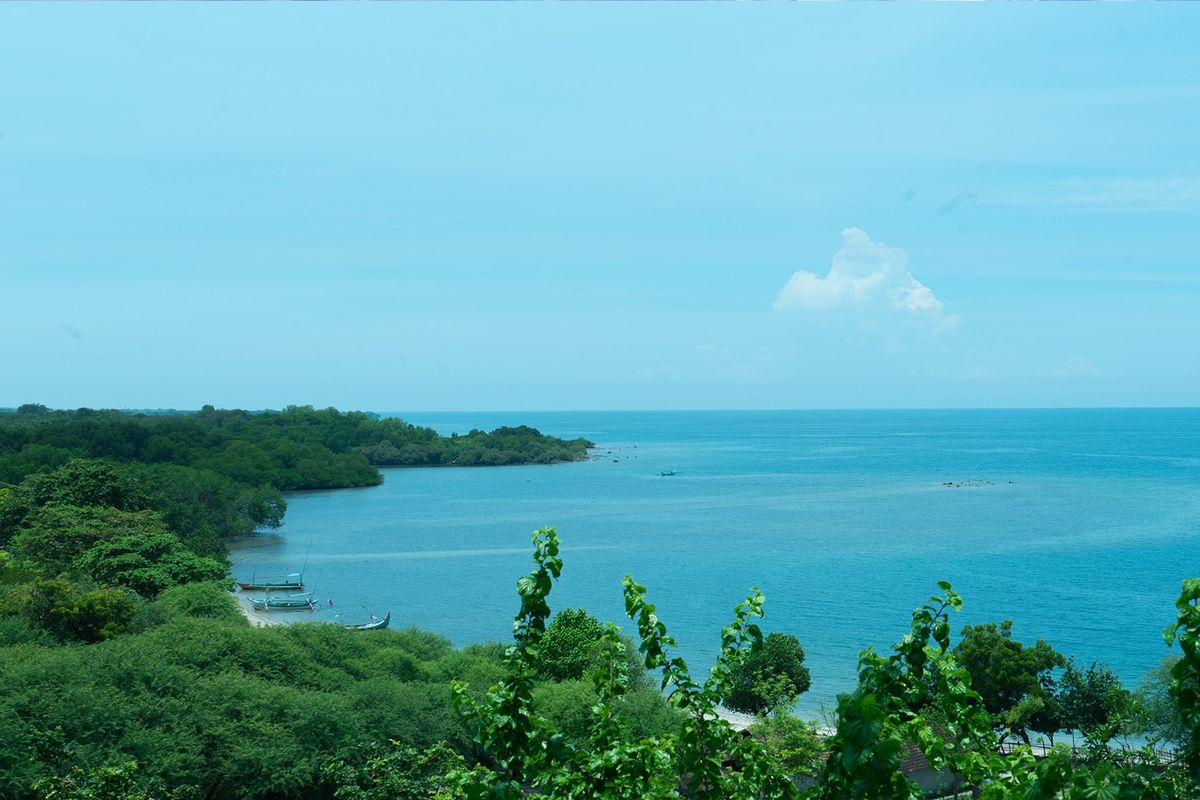 Salah satu pantai di Taman Nasional Baluran.