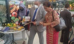 Hasil Riset Kementan-Unpad Sebut Lalat Buah Mangga Tak Ada di Pulau Jawa