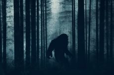 Bagaimana Legenda Bigfoot Bermula?