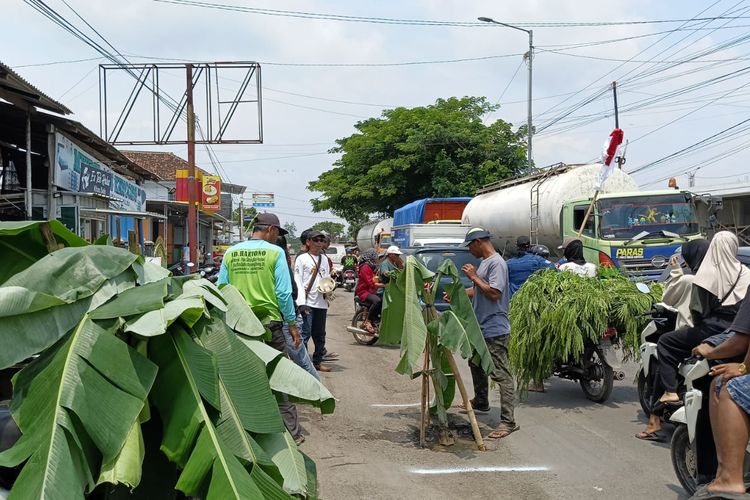 Warga Jember tanam pohon pisang di jalan yang rusak pada Rabu (8/1/2025)