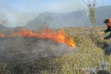 Kebakaran di Bromo Meluas, Area yang Terbakar Capai 80 Hektar
