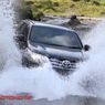 SUV Diesel Bekas di Bawah Rp 200 Juta, Pilih Fortuner atau Pajero Sport?