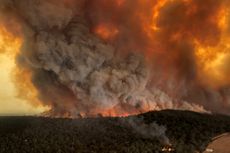 Kesaksian WNI soal Kebakaran Hutan Australia: Merasa Seperti di Ruang Gas