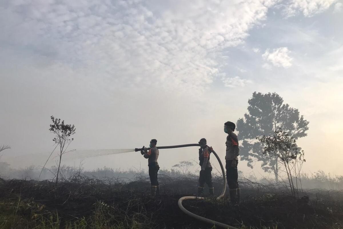 Kepala Bidang Humas Kepolisian Daerah Kalimantan Barat (Kalbar) Kombes Pol Donny Charles Go mengatakan, sampai dengan saat ini, pihaknya telah menangani sebanyak 7 kasus dan menetapkan 8 orang tersangka terkait kebakaran hutan dan lahan (karhutla)