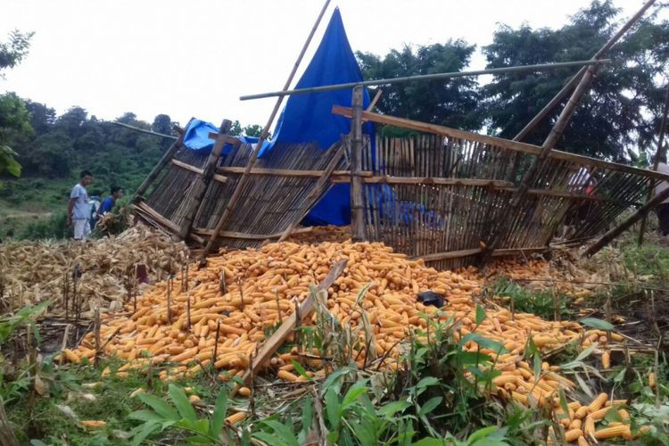 Sejumlah warga di Kabupaten Gowa, Sulawesi Selatan mendatangi pondok kebun berisi tiga ton jagung hasil panen yang rubuh dan mengakibatkan empat petani tewas tertimbun jagung. Senin, (3/4/2017).