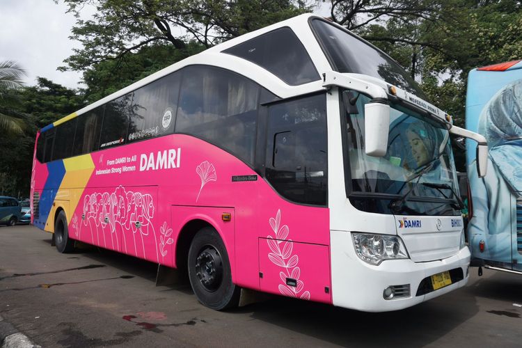 Bus Pink DAMRI