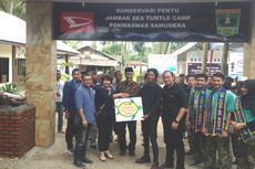 Daihatsu Lanjutkan Konservasi Penyu di Padang
