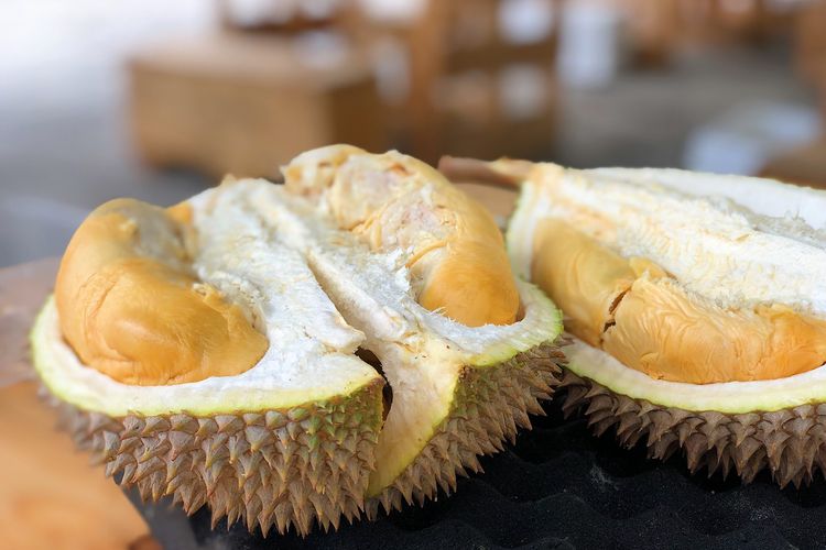 Ilustrasi durian, buah durian, tips memilih dan membuka durian.