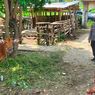 Wabah PMK Merebak di Lombok Tengah, Pasar Hewan Ditutup Sementara