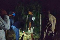 Bermain di Sawah, Siswi SMP di Grobogan Tewas Tersetrum Jebakan Tikus