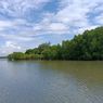Jelajah Mangrove di Pulau Serangan Bali, Terancam Sampah dan Sedimentasi